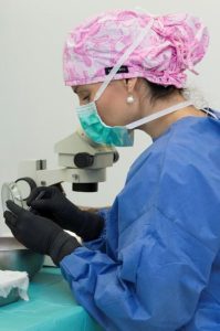 Hair Transplant Procedure